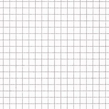 White checkered paper texture, notebook sheet with empty space Stock Photos
