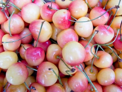 White cherries Foto stock