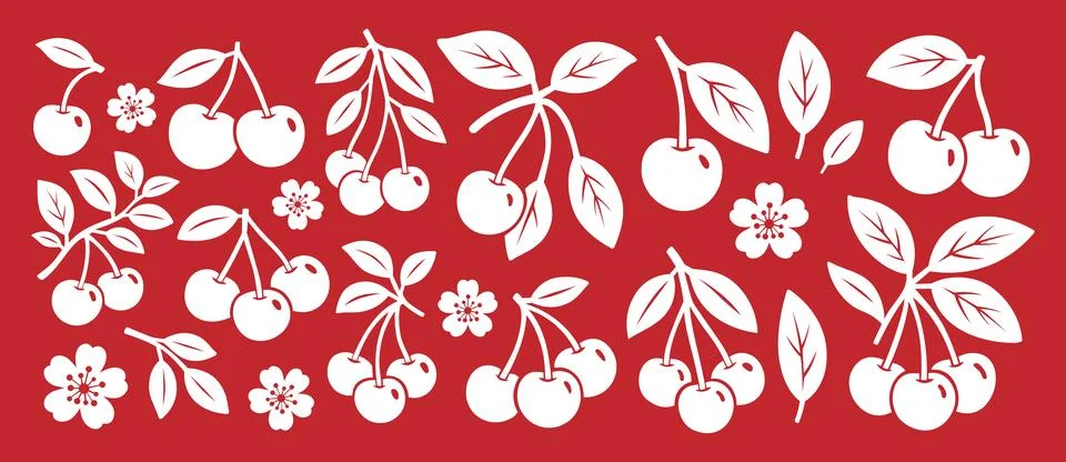 White cherries on red background. Flat vector fruits and flowers illustration Illustrazione stock