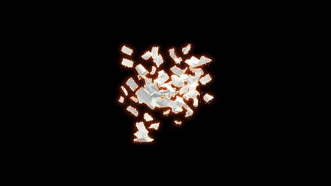 White cherry blossom flower explosion Stock Footage 342220308