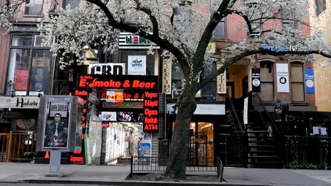 White Cherry Blossom Tree Dark Urban Street St Marks Coronavirus Lockdown Stock Footage 127269887