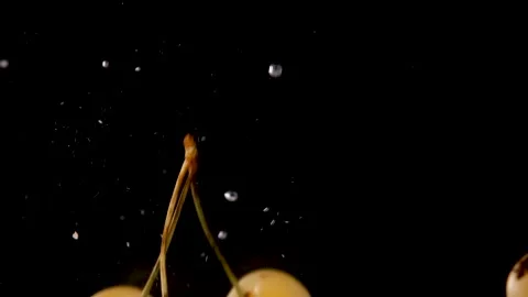 White cherry in water Stock Footage 240134100
