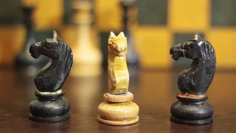 WHITE CHESS HORSE FOR RENT BETWEEN BLACK CHESS HORSES Stock Footage 74884432