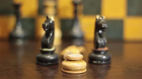 WHITE CHESS HORSE FOR RENT BETWEEN BLACK CHESS HORSES Stock Footage 74884473