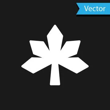 White Chestnut leaf icon isolated on black background. Vector Illustrazione stock