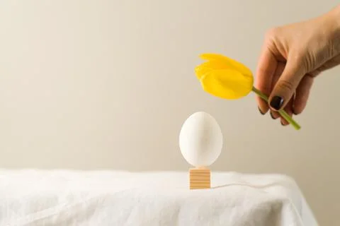 White chicken egg. Easter art concept, minimalism. Copy space. Foto stock
