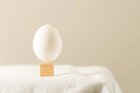 White chicken egg. Easter art concept, minimalism. Copy space. Foto stock
