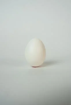 White chicken egg isolated on clean background Stock Photos