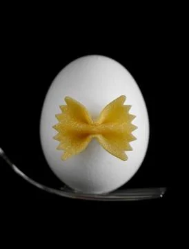 White chicken egg Stock Photos