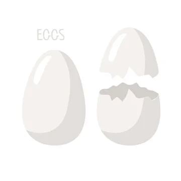White chicken egg set. Whole and Cracked eggs. Vector culinary ingredient Stock Illustration