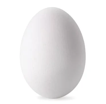 White chicken egg. On a white background, isolated. Stock Photos