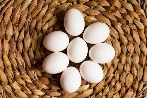 White chicken eggs lying on woven straw Stock Photos