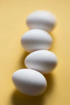 White chicken eggs Stock Photos