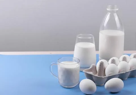 White chicken eggs Stock Photos