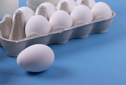 White chicken eggs Stock Photos