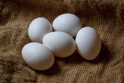 White chicken eggs. Stock Photos