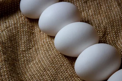 White chicken eggs. Stock Photos