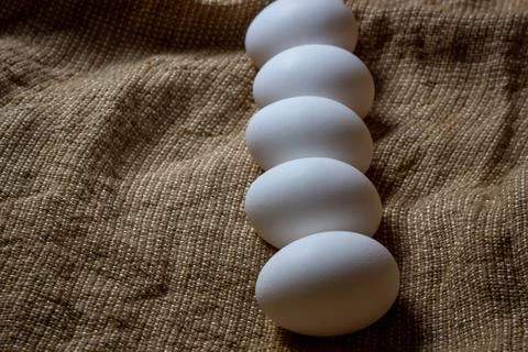 White chicken eggs. Stock Photos