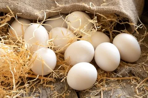 White chicken eggs rolled out of the burlap sack on wooden boards with straw Foto stock