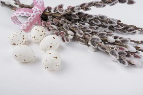 White chicken eggs with willow branches Stock Photos