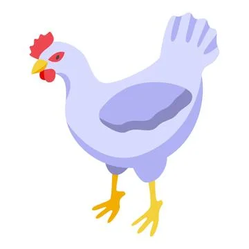 White chicken icon isometric vector. Chick egg Stock Illustration