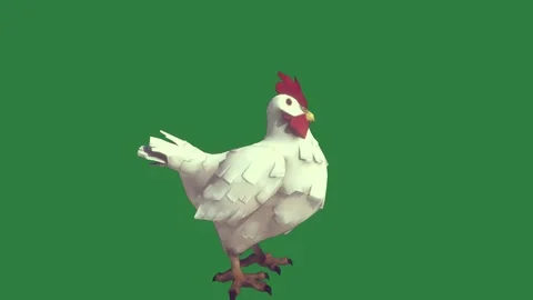 A white chicken standing isolated isolated on green screen background Stock Footage 336890410