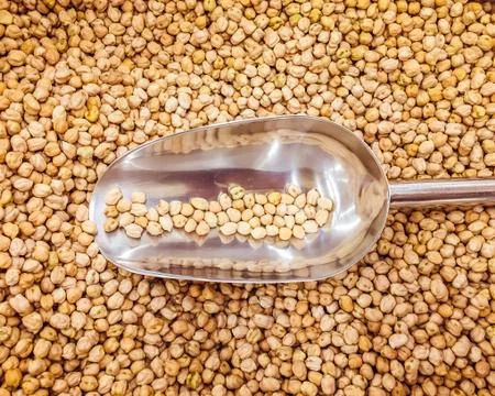 White Chickpeas Fotos Stock