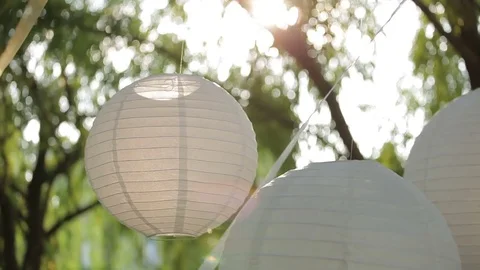 White chinese lantern hanging on a tree. Video stock 76648680