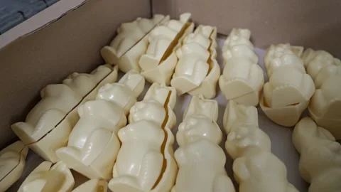 White chocolate Easter bunny molds in box Stock Footage 334564452