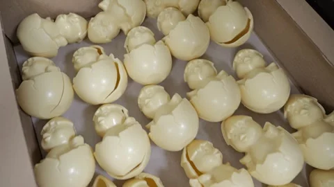 White Chocolate Easter Ducks in Egg Shell Box Stock Footage 334564715