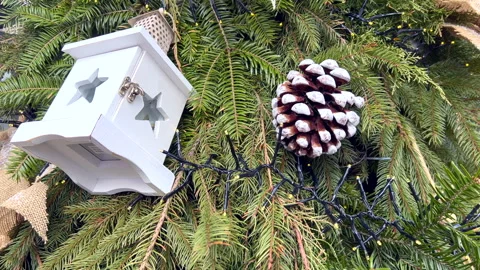 White christmas lantern hanging on a pine tree branch Stock Footage 312807820