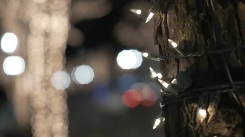 White Christmas Lights on a Tree Trunk, Bokeh, Small Town Stock Footage 168192386