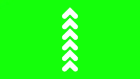 A white christmas tree on black background and green screen animated chromakey Stock Footage 345497154