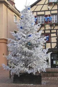 White christmas tree Stock Photos