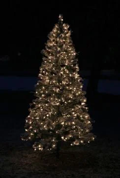 White Christmas Tree Stock Photos