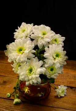 White Chrysanthemums Stock Photos