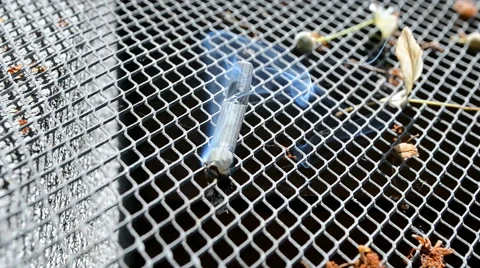 White cigarette closeup on metal grid surface, blue smog on the wind. Stock Footage 49894354