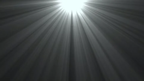 White Cinematic Light Rays Background Animation Stock Footage 343387542