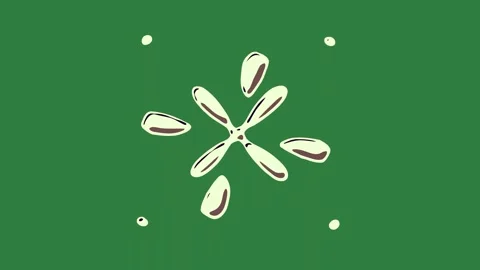 White circles and background two paddles brown logo flower dragon 스톡 동영상 337030541