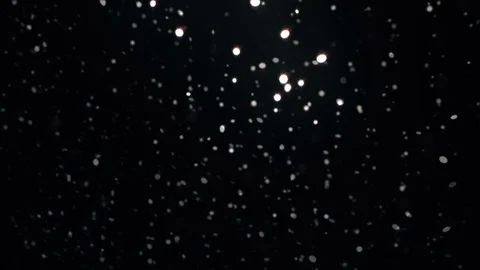 White circular particles floating in liquid 스톡 동영상 75613089