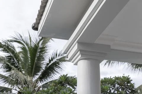 White classical column and porch eave framed by lush palm trees Photos