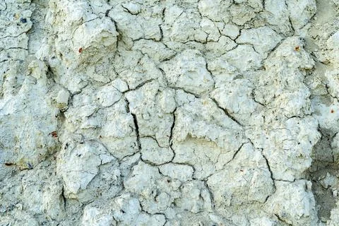 White clay texture, gray mud cracked background Stock Photos
