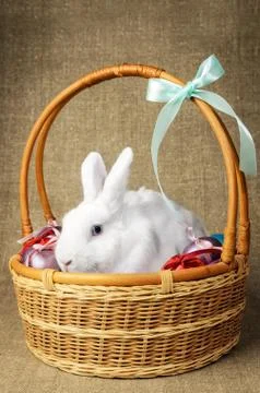 White clean beautiful Easter bunny next to a wicker basket with eggs in the Stock Photos