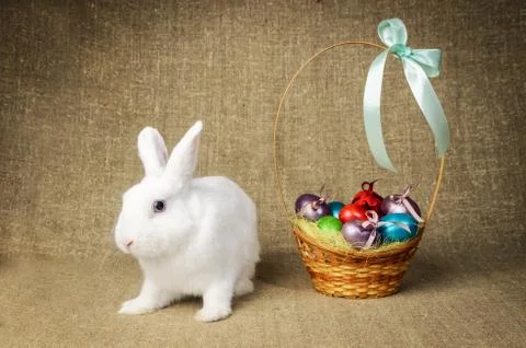 White clean beautiful Easter bunny next to a wicker basket with eggs in the Stock Photos