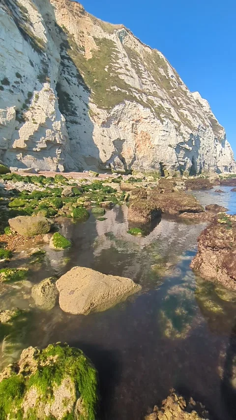 White cliffs of dover coastline Stock Footage 288113724