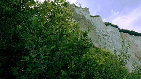 White cliffs of  Møn Stock Footage 129688763