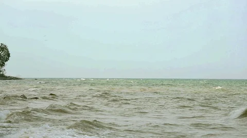 White cliffs of  Møn Stock Footage 129689166