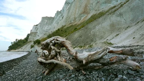 White cliffs of  Møn Stock-Footage 129689187