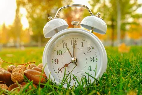 The white clock shows eight o'clock in the morning. The clock stands on the g Stock Photos