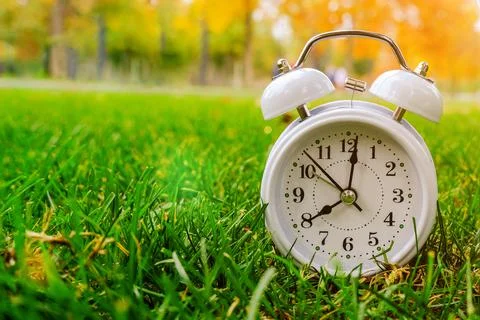 The white clock shows eight o'clock in the morning. The clock stands on the g Stock Photos